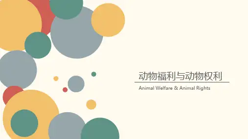 动物福利与动物权利ppt