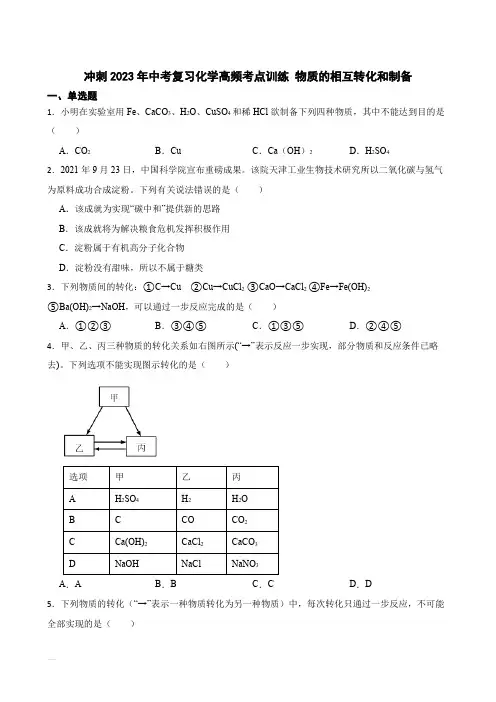冲刺2023年中考化学复习高频知识点专练 物质的相互转化和制备