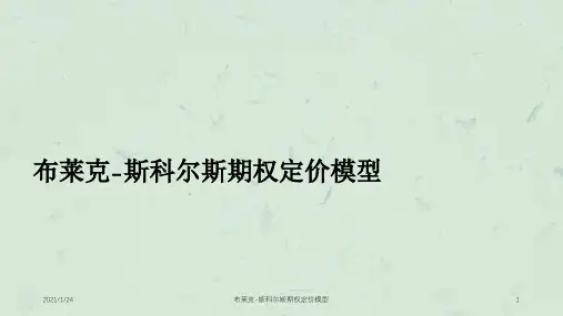 布莱克-斯科尔斯期权定价模型课件
