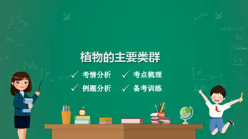 中考生物复习课件：植物的主要类群