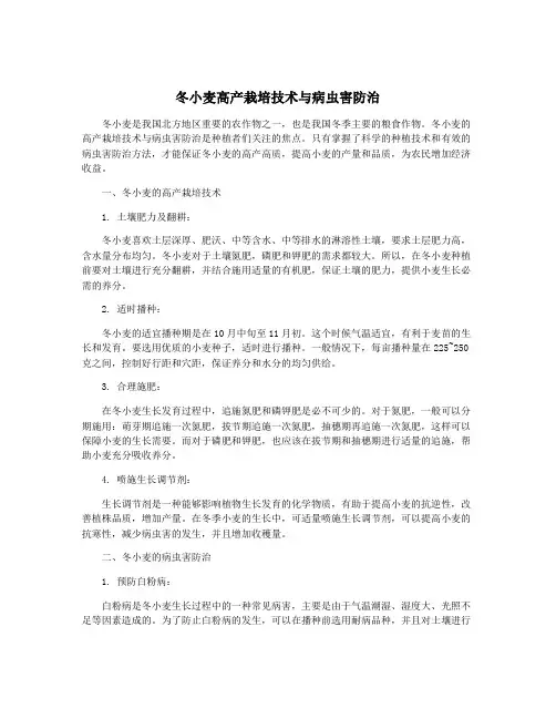 冬小麦高产栽培技术与病虫害防治