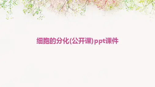 细胞的分化(公开课)PPT课件