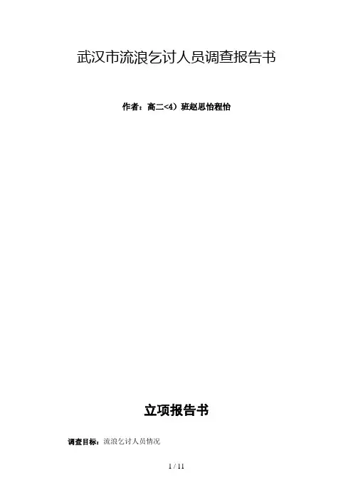 武汉流浪乞讨人员调查分析方案