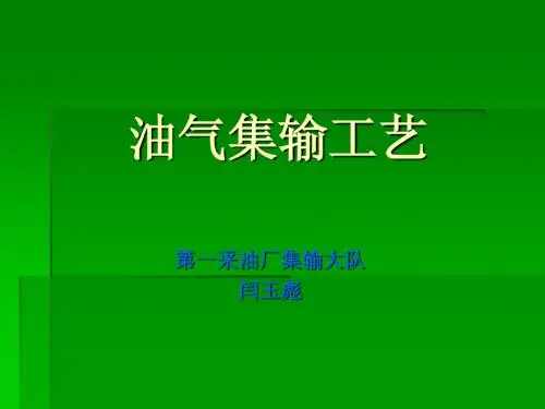 集输工艺流程闫技师
