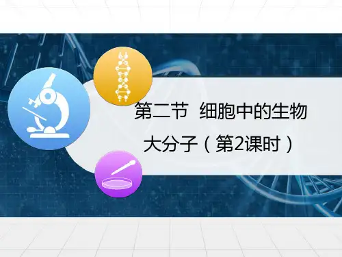优质课 苏教版高中生物必修一2.2《细胞中的生物大分子》第2课时课件