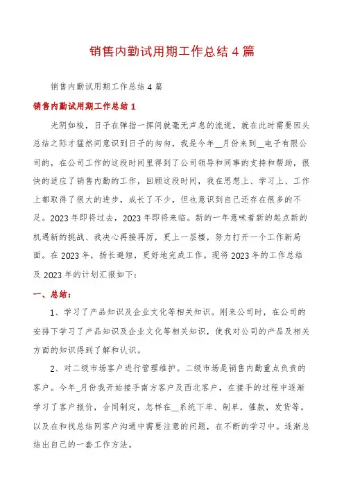 销售内勤试用期工作总结4篇