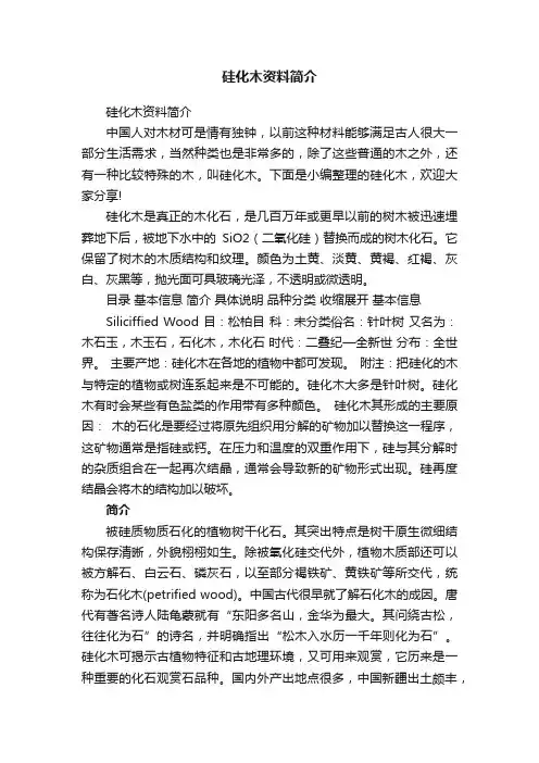 硅化木资料简介