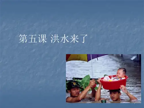洪水来了ppt课件