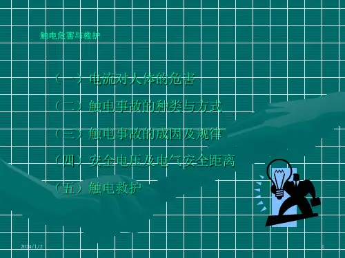 电力安全知识PPT课件