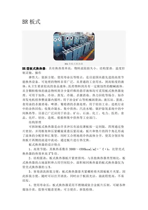 BR板式换热器