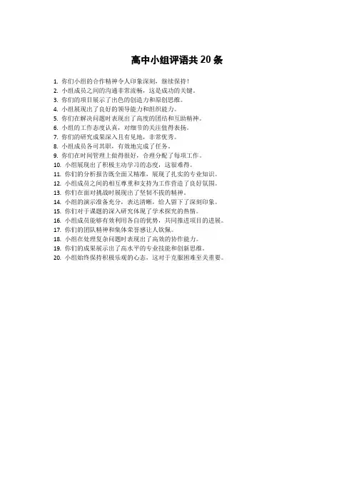 高中小组评语