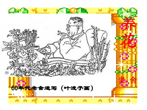 老舍《养花》ppt课件(32页)