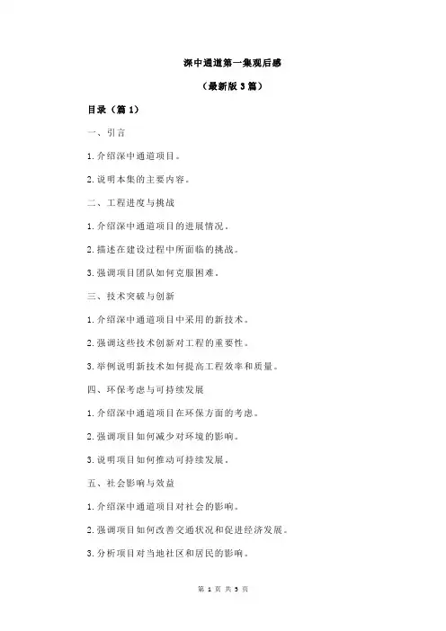 深中通道第一集观后感