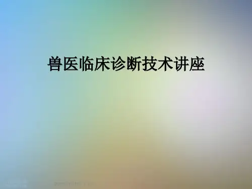 兽医临床诊断技术讲座