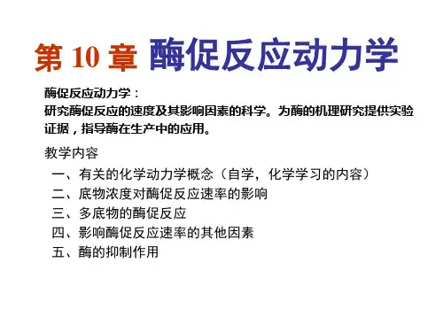 10章酶反应动力学-教学用