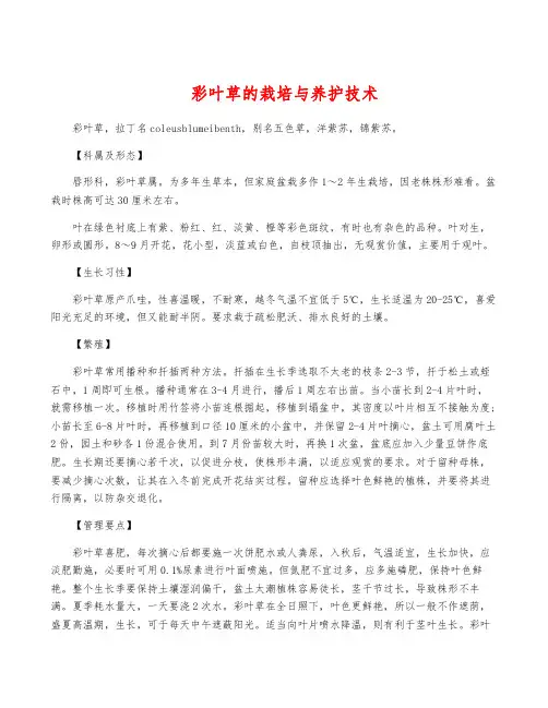 彩叶草的栽培与养护技术