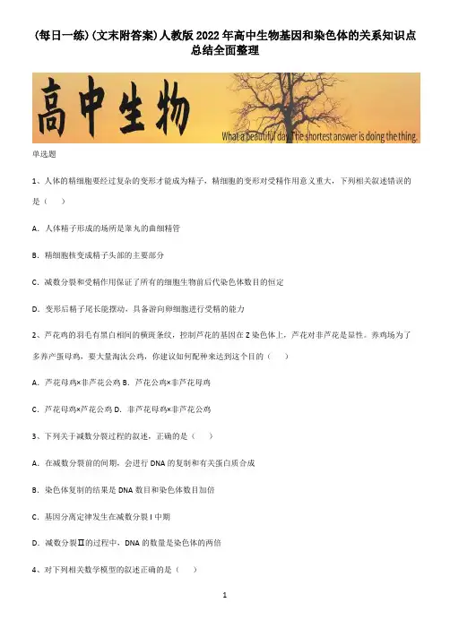 (文末附答案)人教版2022年高中生物基因和染色体的关系知识点总结全面整理