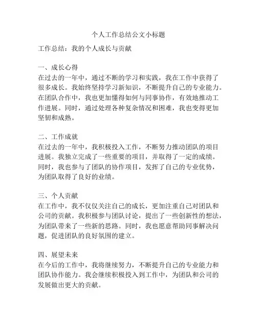 个人工作总结公文小标题