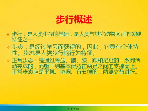 【步态分析】(共19张PPT)优秀