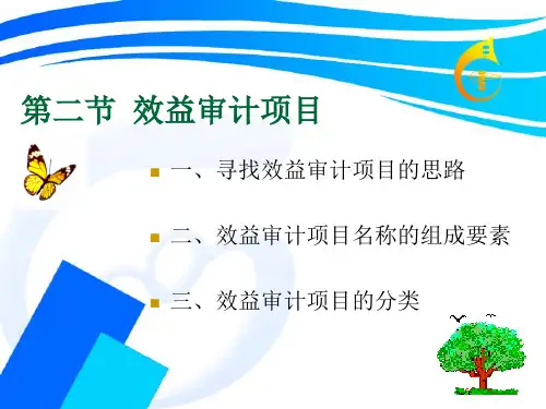 企业经济效益审计第一部分第二节