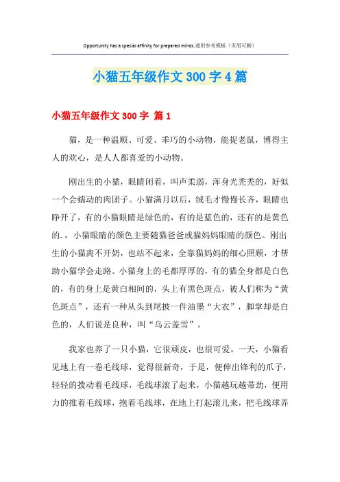 小猫五年级作文300字4篇