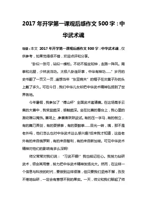 2017年开学第一课观后感作文500字：中华武术魂