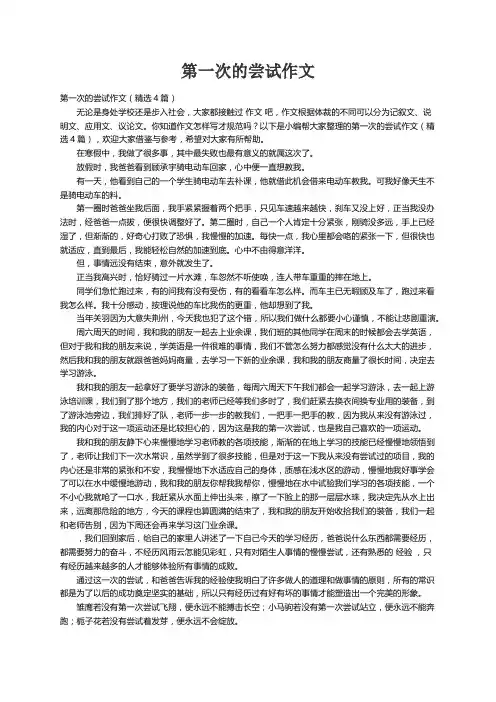 第一次的尝试作文（精选4篇）