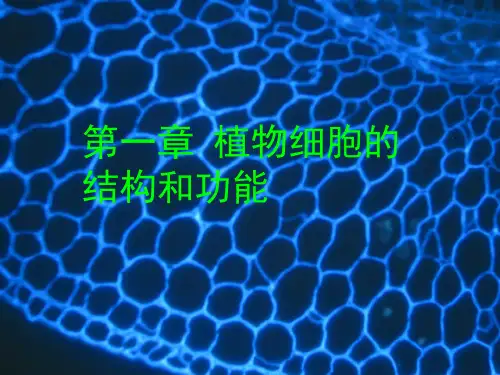 第1章 植物细胞的结构和功能