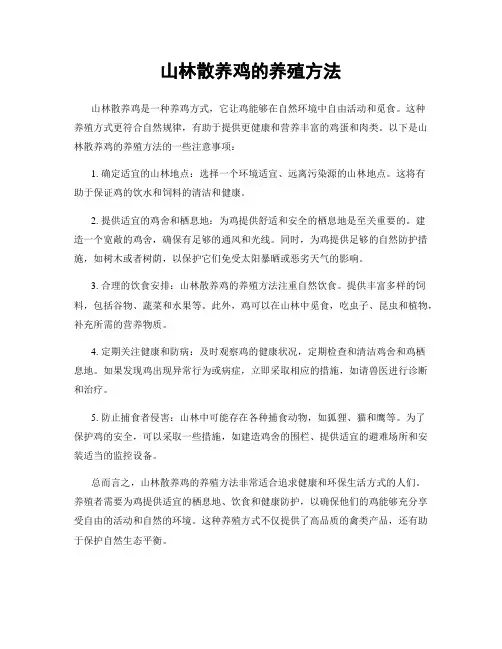 山林散养鸡的养殖方法