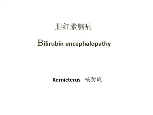 5.9新生儿胆红素脑病