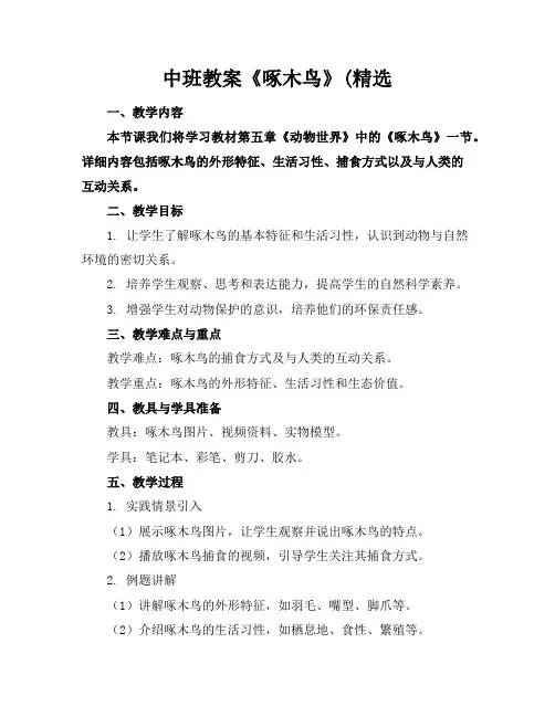 中班教案《啄木鸟》(精选