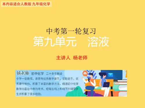 中考化学复习专题第九单元 溶液(共28张PPT)