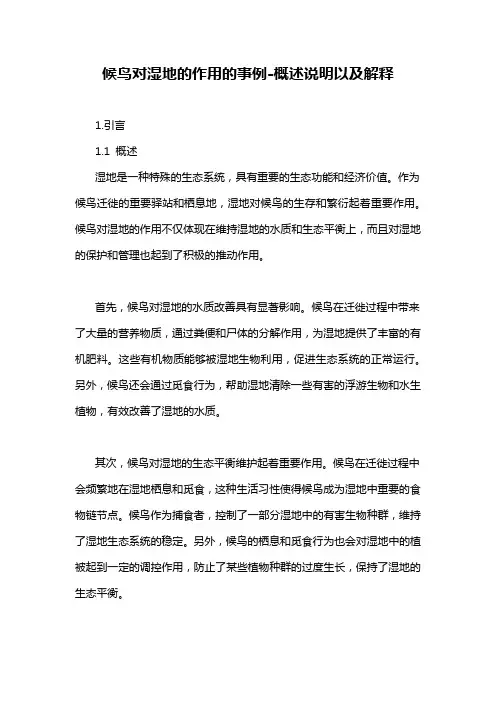 候鸟对湿地的作用的事例-概述说明以及解释
