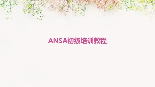 ANSA初级培训教程