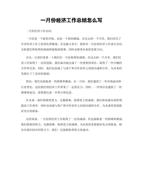 一月份经济工作总结怎么写