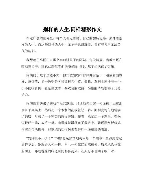 别样的人生,同样精彩作文