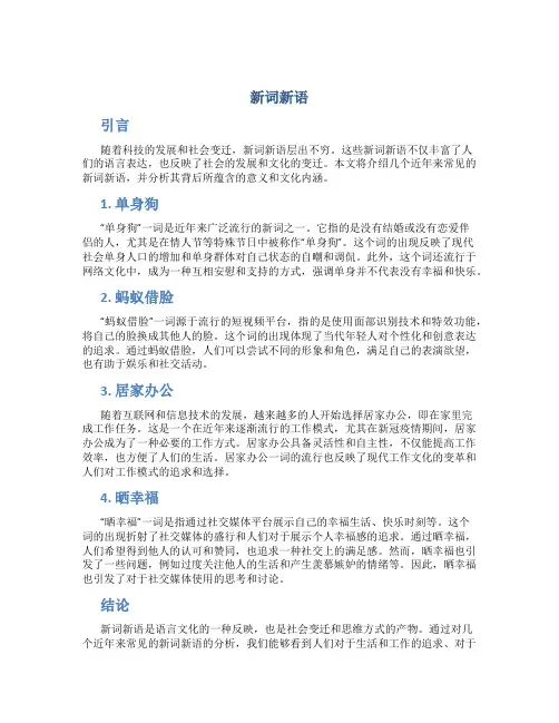 新词新语_精品文档