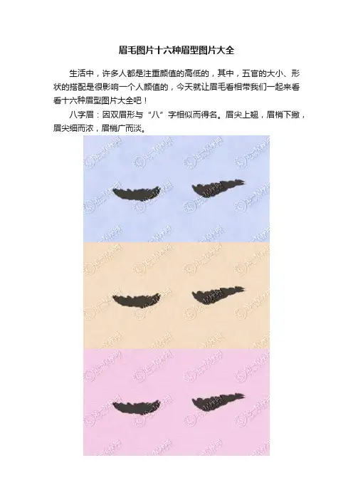 眉毛图片十六种眉型图片大全