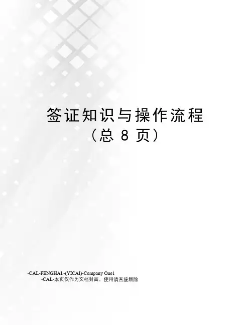 签证知识与操作流程(总8页)