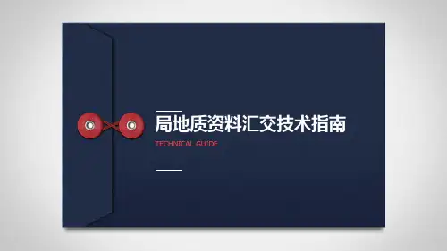 地质资料汇交技术指南-非常详细