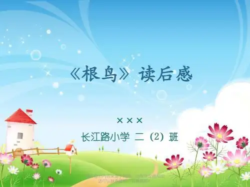 曹文轩根鸟读后感ppt课件