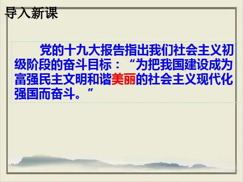 正视发展挑战ppt优秀课件部编版3
