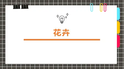 《花卉》6-8岁幼儿园小学少儿美术教育绘画课件创意教程教案PPT模板