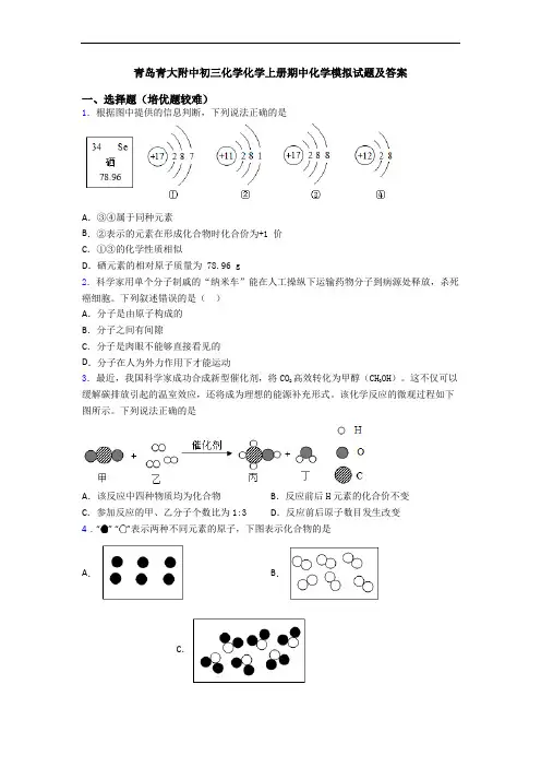 青岛青大附中初三化学化学初三化学上册期中化学模拟试题及答案
