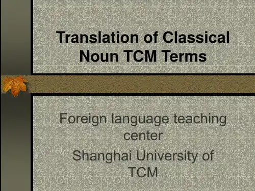 中医经典名词术语英译