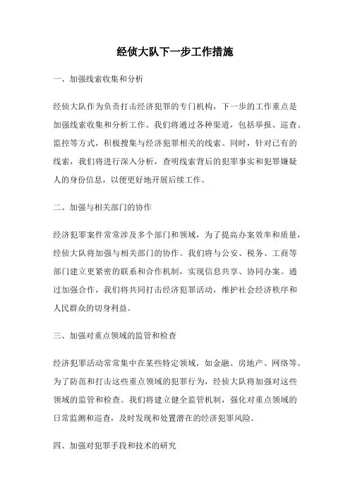 经侦大队下一步工作措施