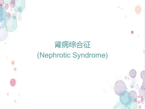肾病综合征讲课稿