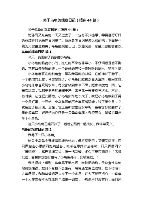 关于乌龟的观察日记（精选44篇）