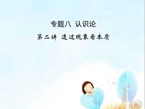 透过现象看本质PPT课件 人教课标版