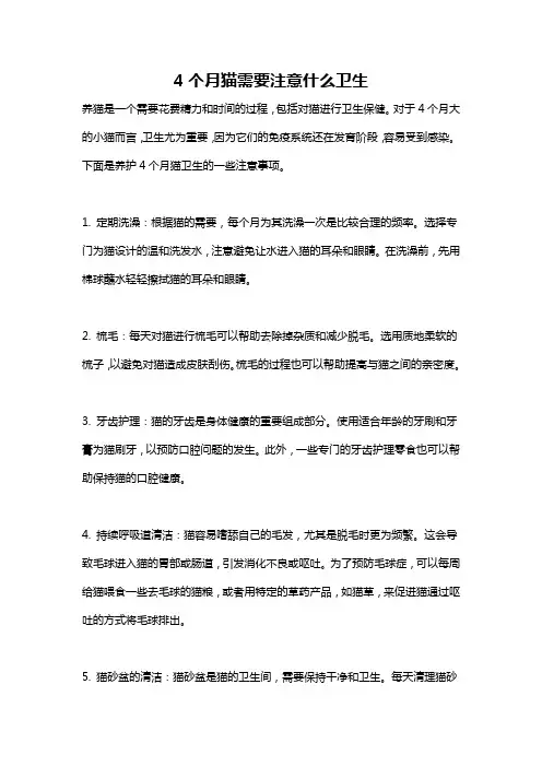 4个月猫需要注意什么卫生